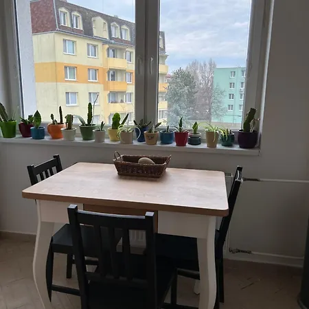 Zeleny U Boriho Lesa * Břeclav