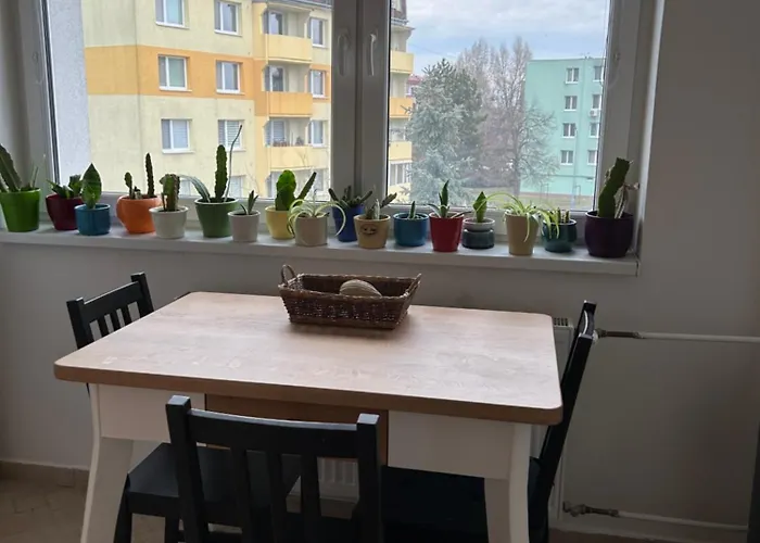 Zeleny U Boriho Lesa * Břeclav